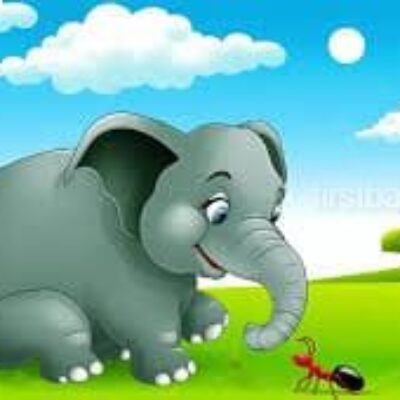 The Elephant and the Ants