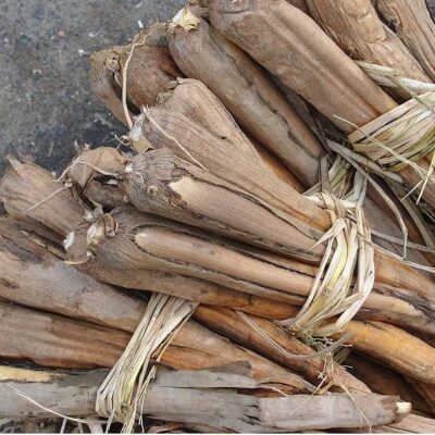 Is Palmyra Fruit Good for Health?